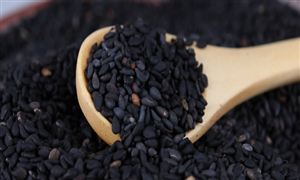 2023年花卉行业发展如何花卉行业发展市场分析(图2)