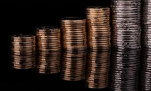 2023年花卉行业发展如何花卉行业发展市场分析(图7)