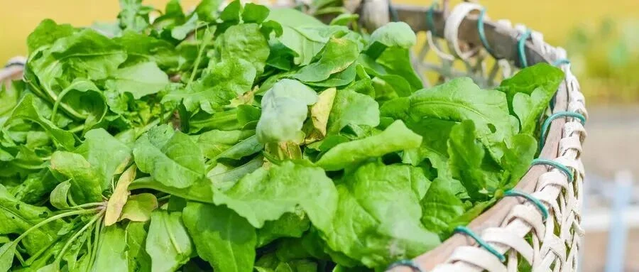 这些爆火的「春日经济」可不只是新“花”样(图1)