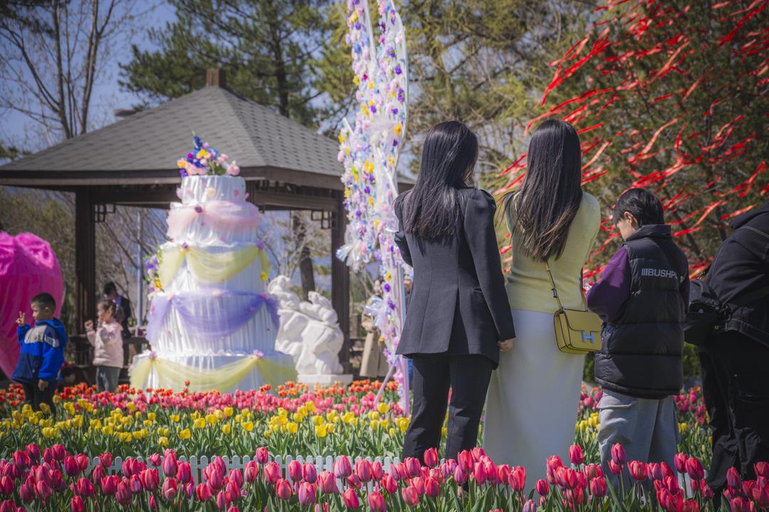 春日“花经济”让颜值变产值(图4)