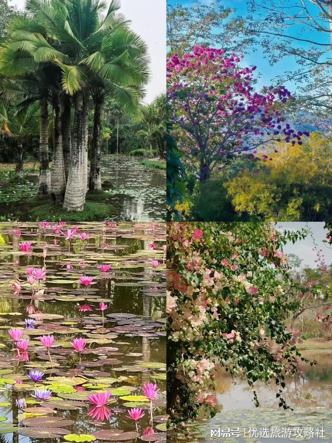 西双版纳6天跟团游开销多少?人均1480元行程全包无隐形消费(图1)