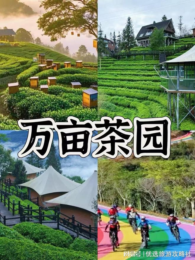 西双版纳6天跟团游开销多少?人均1480元行程全包无隐形消费(图2)