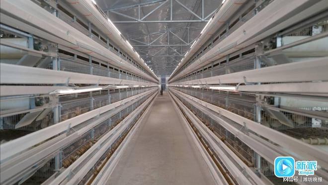 新派观察何为“赢”商？潍坊用“营商”作答(图3)