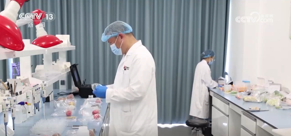 “菜篮子”量足价稳、鲜花市场备货忙各地多举措保障节日市场供应(图2)