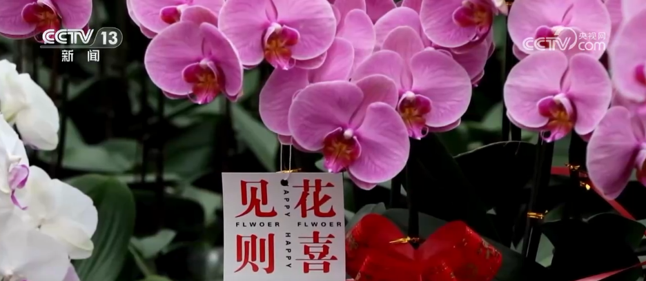 “菜篮子”量足价稳、鲜花市场备货忙各地多举措保障节日市场供应(图6)