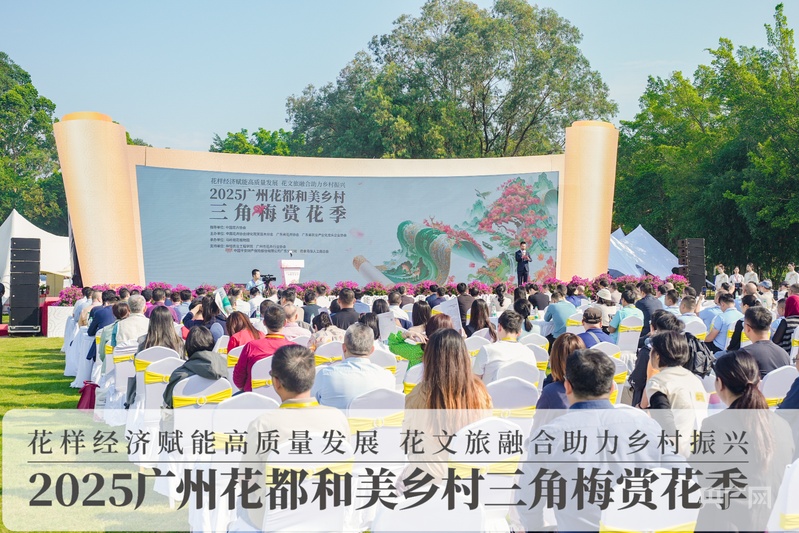 2025广州花都和美乡村三角梅赏花季活动开幕(图1)