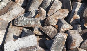 中国花卉艺术行业市场发展现状2023(图5)