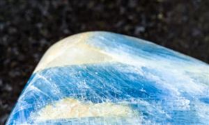 中国花卉艺术行业市场发展现状2023(图6)