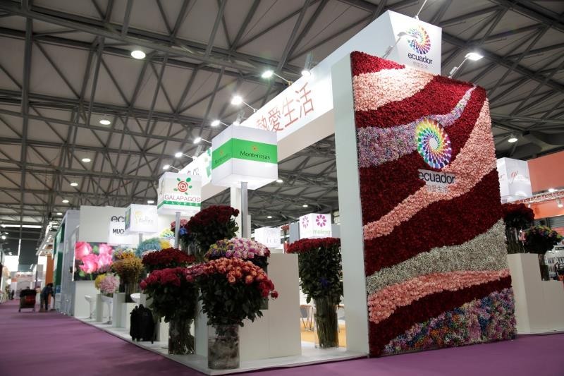 厄瓜多尔花卉出口繁花似锦“玫瑰皇后”、满天星绽放中国国际花卉园艺展(图1)
