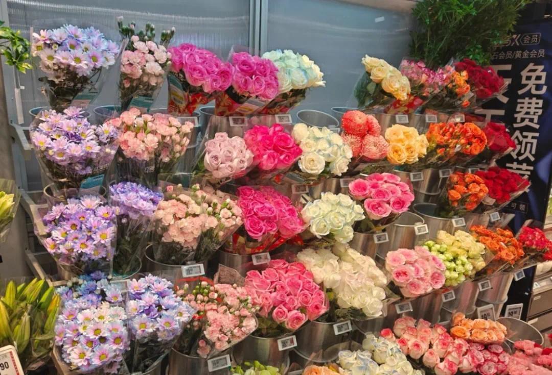 从办公室绿植到祭扫彩菊：长沙“春花经济”开出新场景(图5)