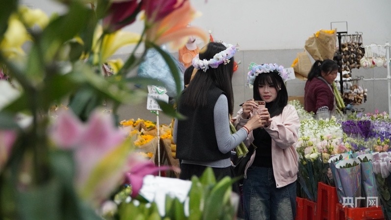 1—2月斗南花卉交易额达2222亿元三个自主育种月季新品种即将投放市场(图1)