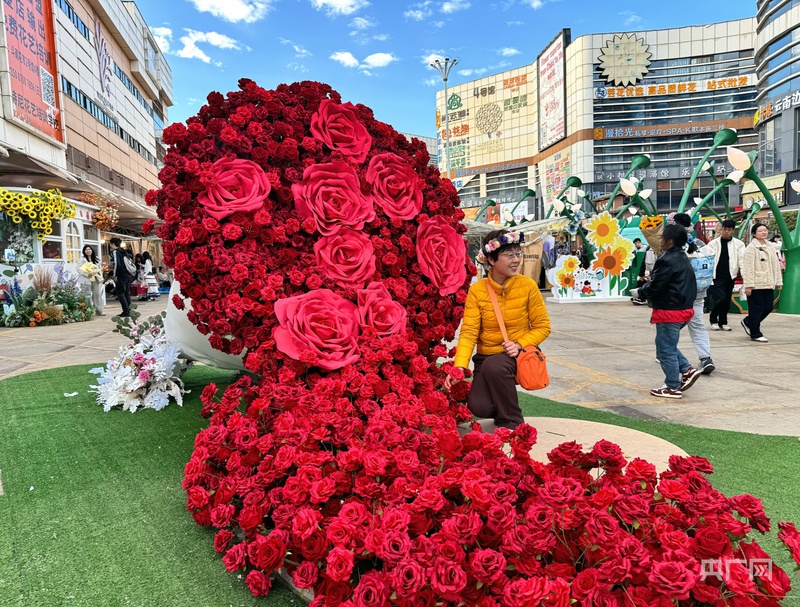 1—2月斗南花卉交易额达2222亿元三个自主育种月季新品种即将投放市场(图3)