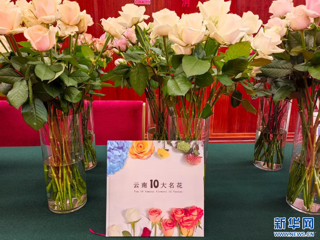 昆明国际花卉展、云南国际咖啡展将于9月19日举办_新华网(图2)