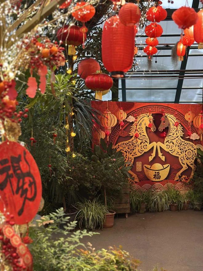 中俄免签后第一批去莫斯科的人回来了(图12)