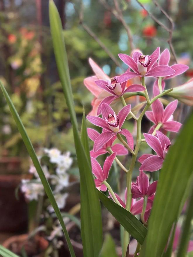 中俄免签后第一批去莫斯科的人回来了(图13)