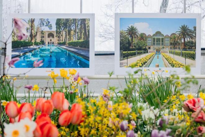 中俄免签后第一批去莫斯科的人回来了(图14)