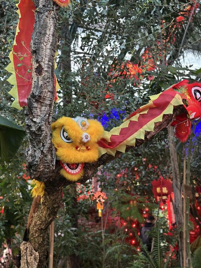 中俄免签后第一批去莫斯科的人回来了(图15)