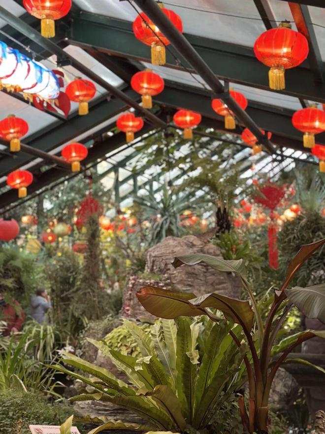 中俄免签后第一批去莫斯科的人回来了(图16)