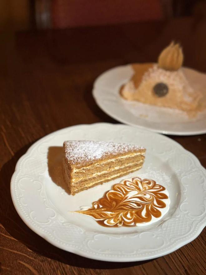 中俄免签后第一批去莫斯科的人回来了(图35)