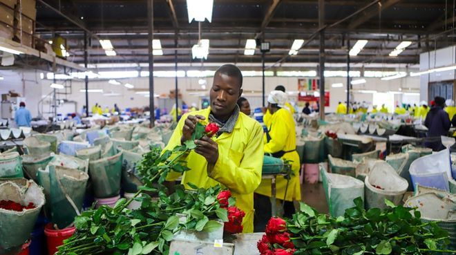 对话非洲“零关税”来了这波机遇到底有多大？(图3)