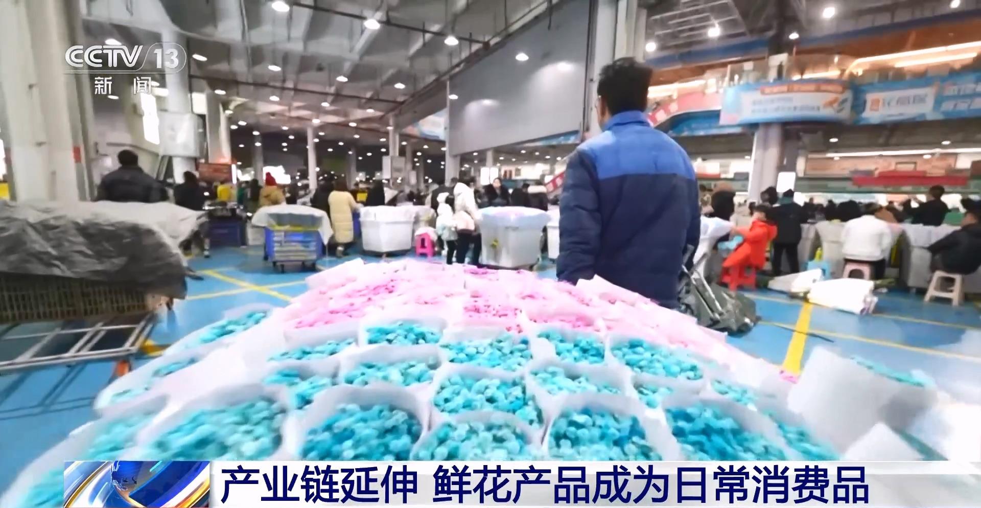 全年銷售額將破2000億我國賣出的花可繞地球多少圈？(图6)