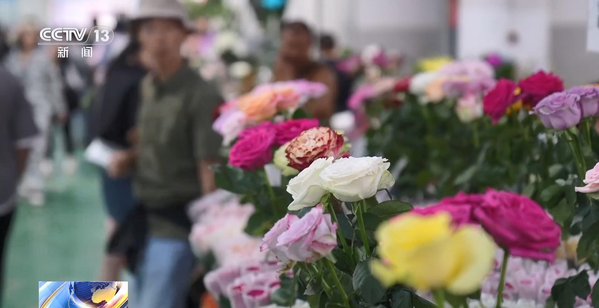 全年銷售額將破2000億我國賣出的花可繞地球多少圈？(图7)