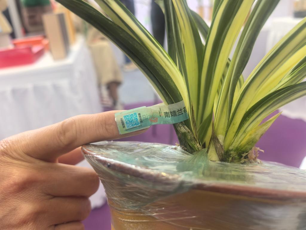 搬上云端鲜花经济迎绽放(图2)