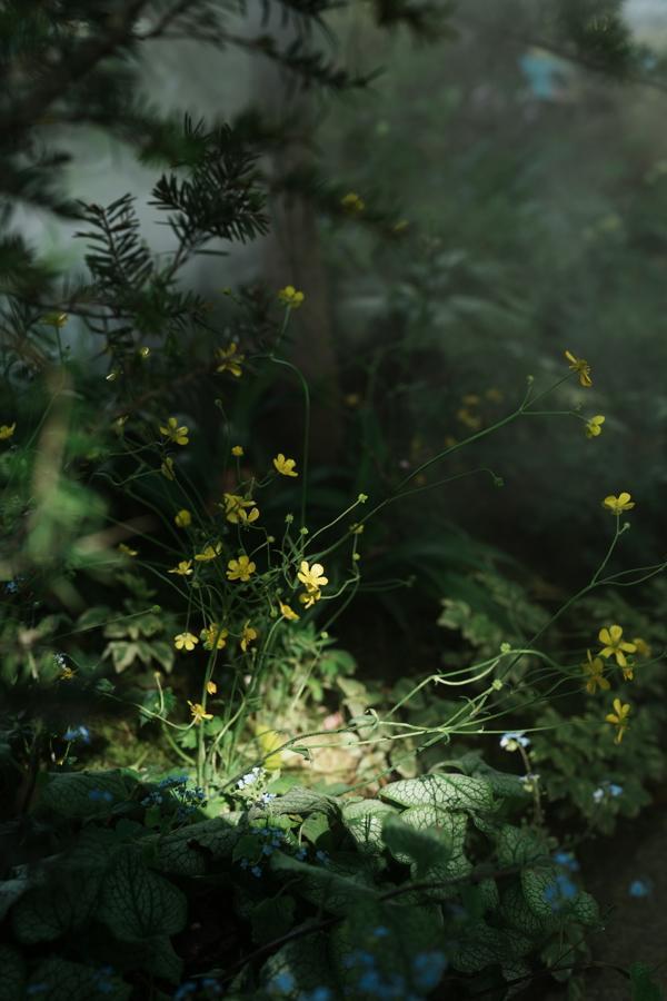 对线个故事带你听懂“自然的语言”(图2)