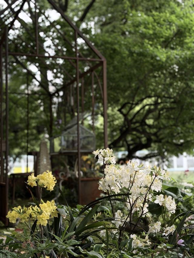 对线个故事带你听懂“自然的语言”(图4)