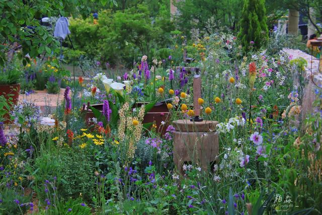 对线个故事带你听懂“自然的语言”(图6)