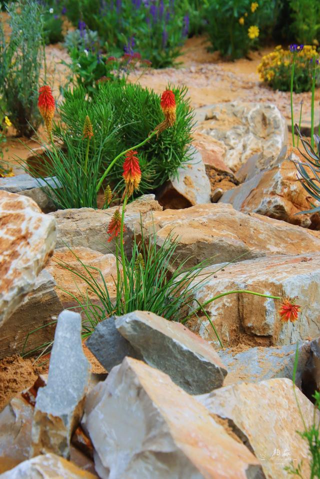 对线个故事带你听懂“自然的语言”(图7)