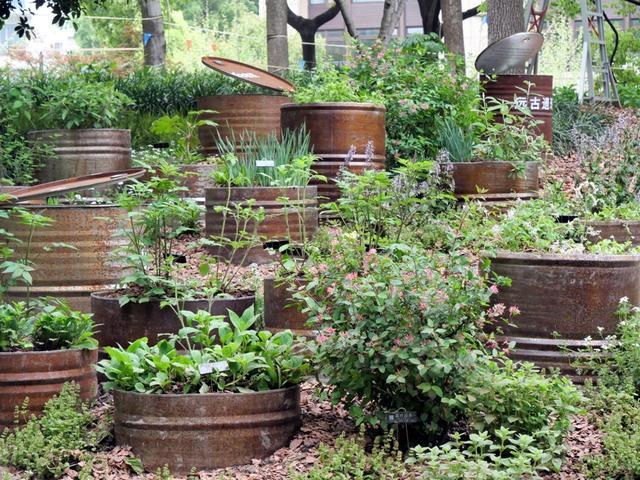 对线个故事带你听懂“自然的语言”(图9)