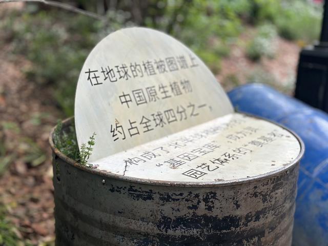 对线个故事带你听懂“自然的语言”(图10)