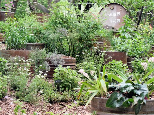 对线个故事带你听懂“自然的语言”(图11)