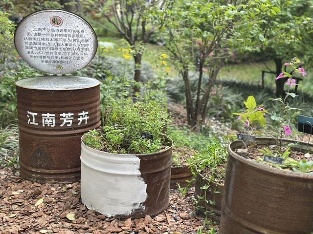 对线个故事带你听懂“自然的语言”(图12)