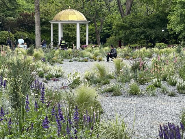 对线个故事带你听懂“自然的语言”(图13)