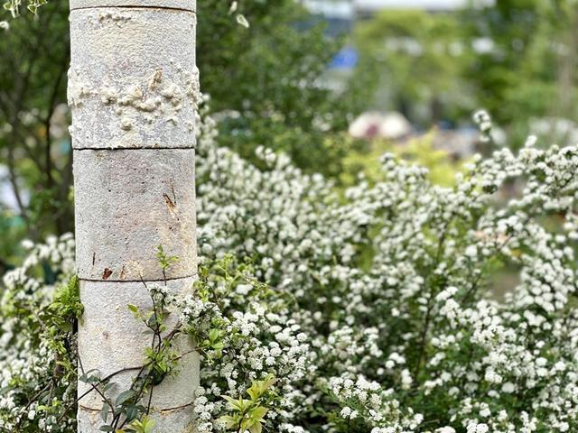 对线个故事带你听懂“自然的语言”(图17)