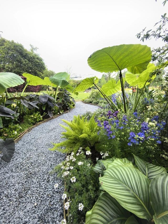 对线个故事带你听懂“自然的语言”(图20)