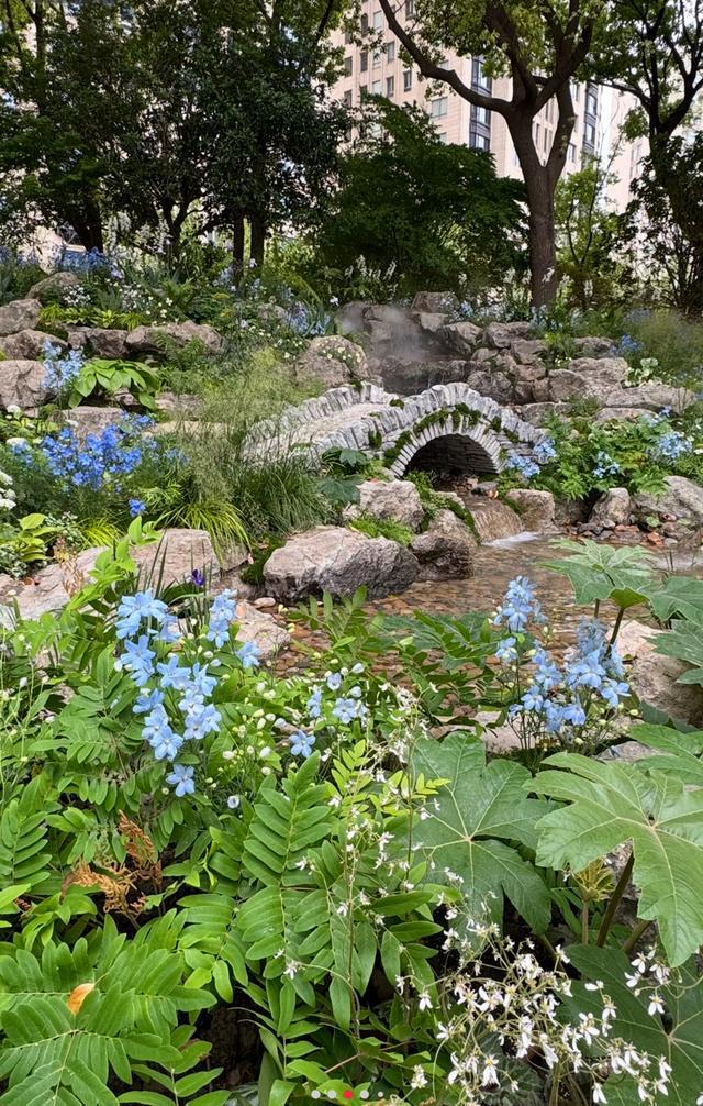 对线个故事带你听懂“自然的语言”(图23)