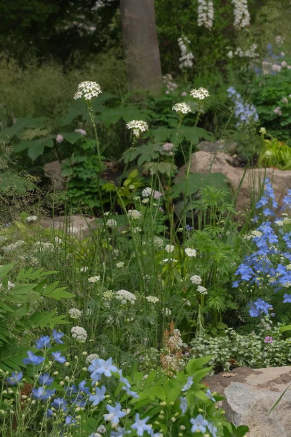 对线个故事带你听懂“自然的语言”(图24)