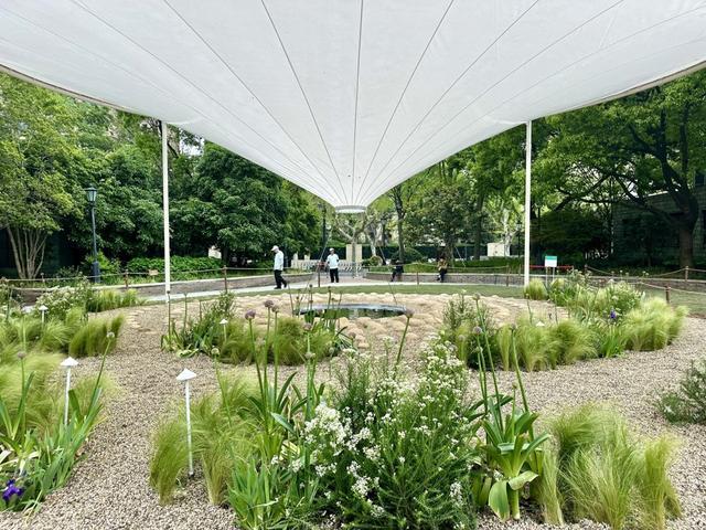 对线个故事带你听懂“自然的语言”(图28)