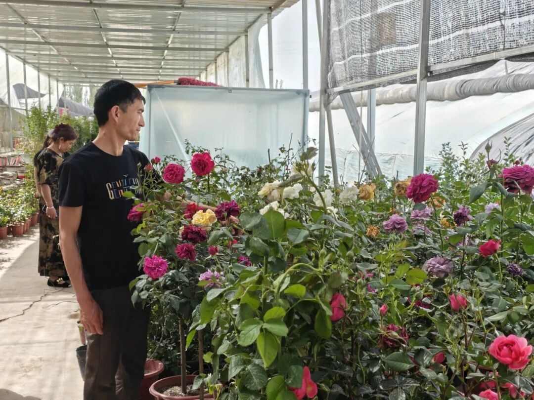 伽师：花香漫乡村旺销迎“五一”(图2)